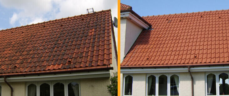 Roof Cleaning Dundalk & Roof Moss Removal Dundalk